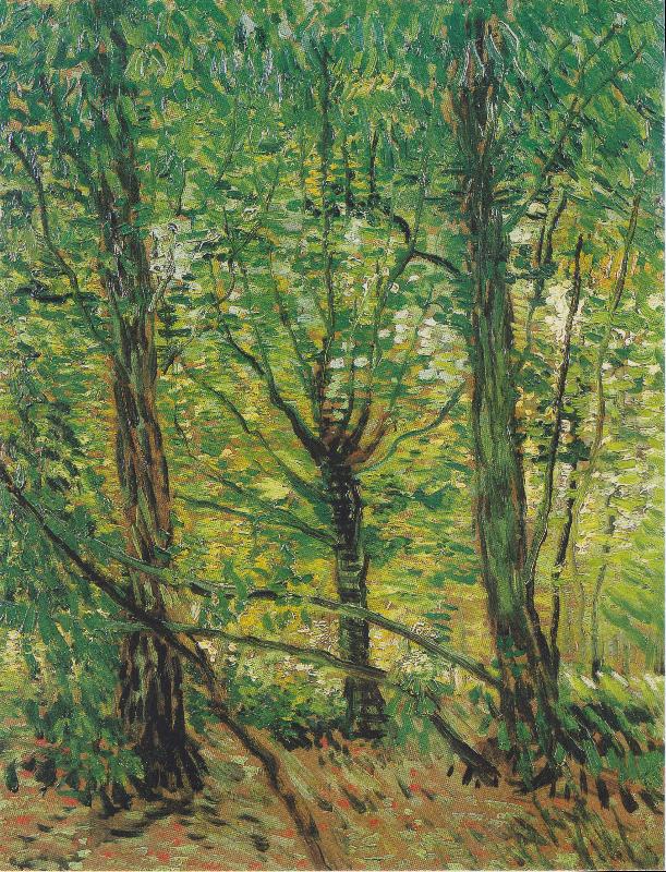 Vincent Van Gogh Trees and Undergrowth China oil painting art